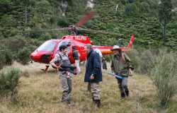 Helifishing New Zealand